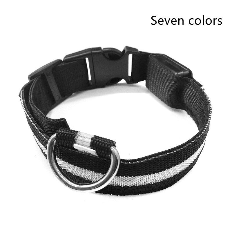 Nylon Light Up Pet Collar