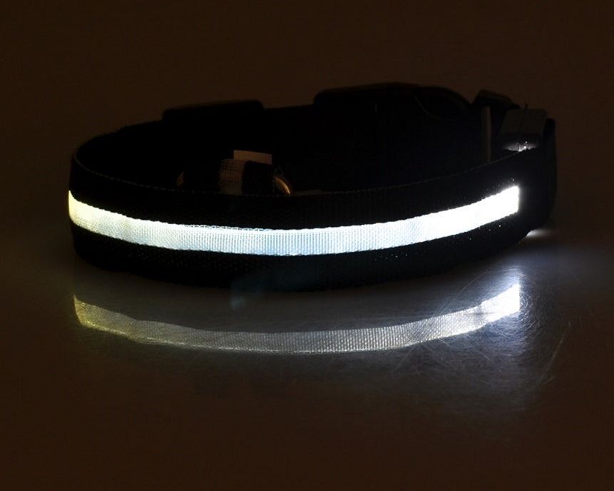 Nylon Light Up Pet Collar