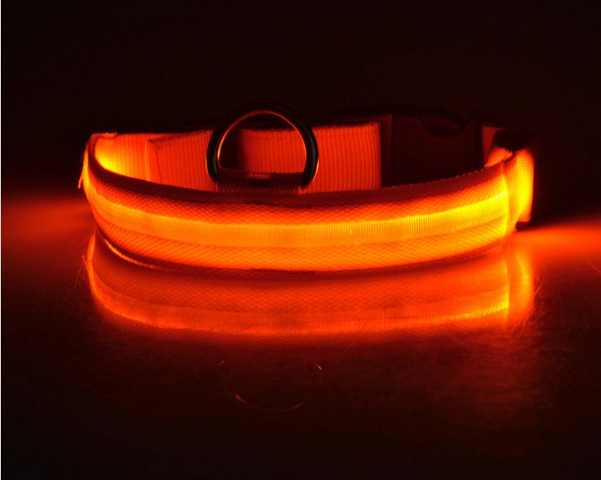 Nylon Light Up Pet Collar