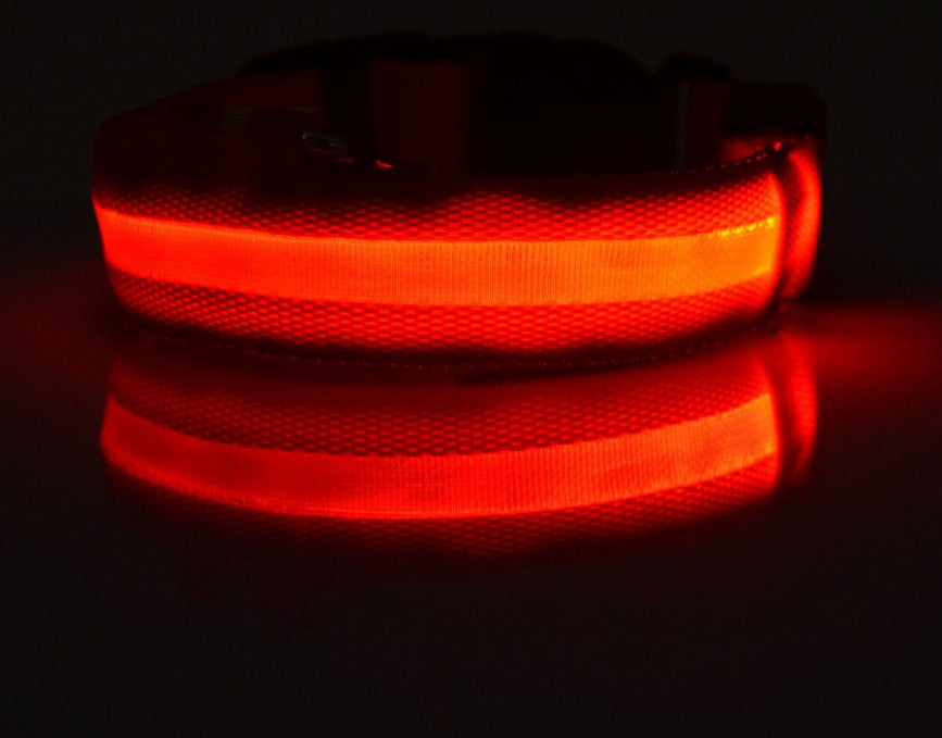 Nylon Light Up Pet Collar