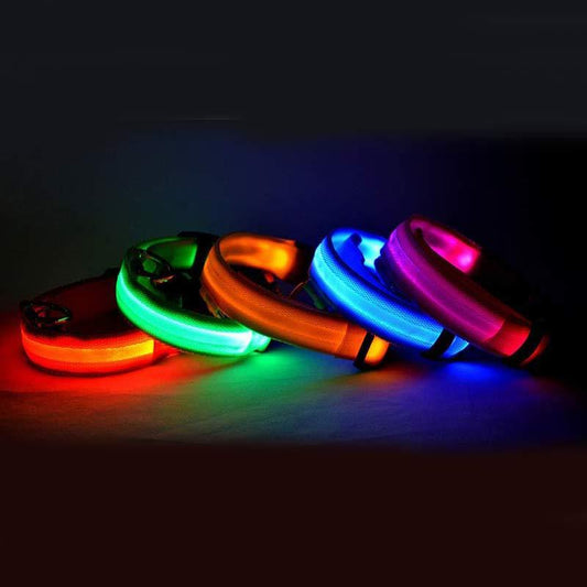 Nylon Light Up Pet Collar