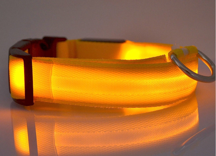 Nylon Light Up Pet Collar