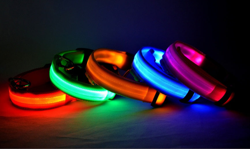 Nylon Light Up Pet Collar