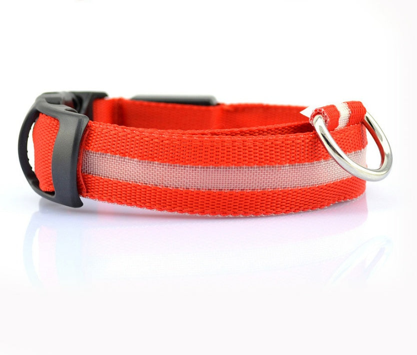 Nylon Light Up Pet Collar