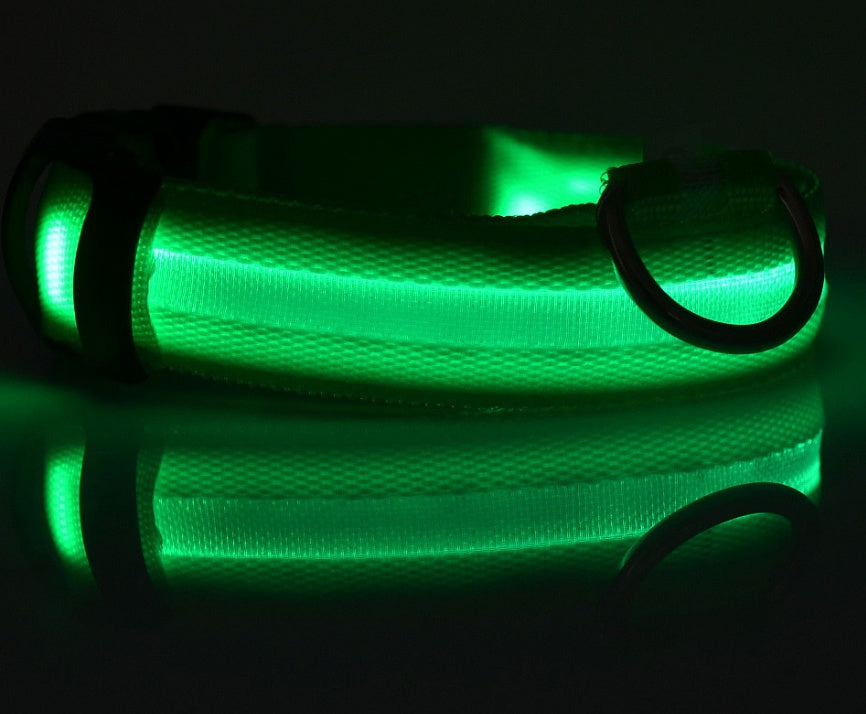 Nylon Light Up Pet Collar