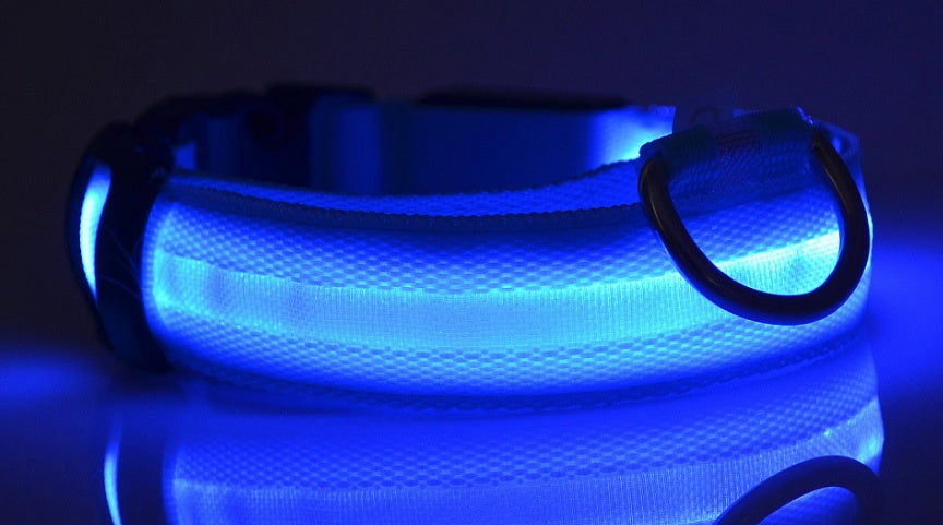 Nylon Light Up Pet Collar