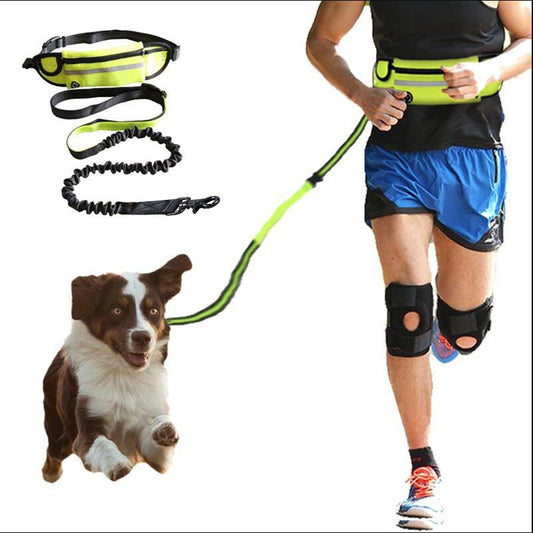 HANDS FREE BUNGEE LEASH WITH WAIST BELT PET SUPPLIES DOG LEASH