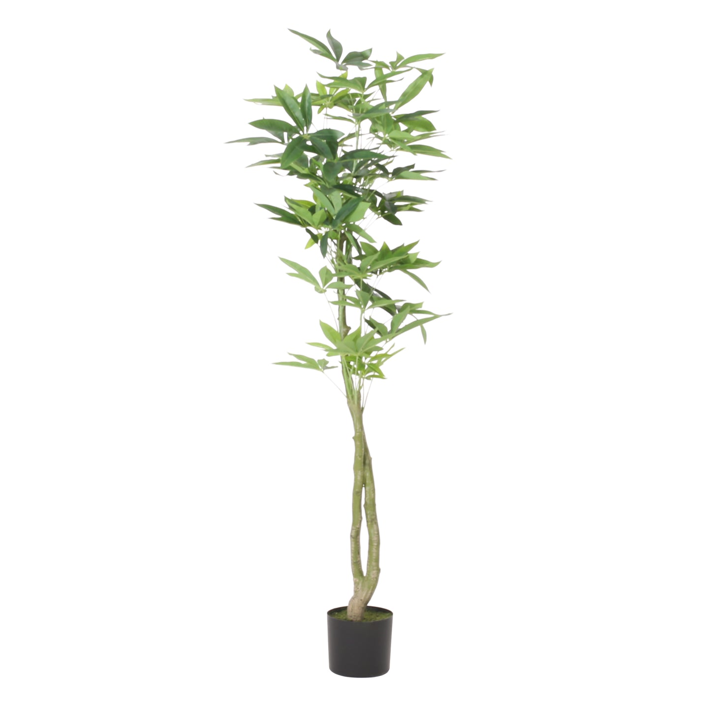 5'ft PACHIRA MACROCARPA Artificial Trees Indoor Plants Home Office Decor